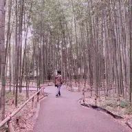 12-ogishi