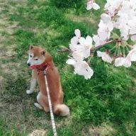 17-inagaki